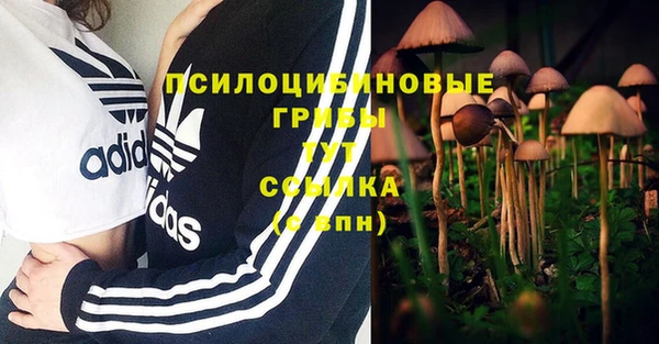 эйфоретик Армянск