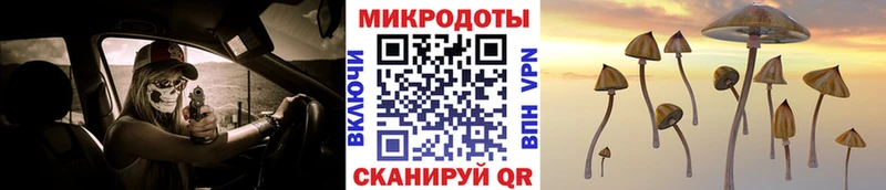 Псилоцибиновые грибы ЛСД  omg сайт  Руза 