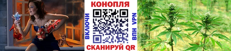 хочу наркоту  Руза  Конопля THC 21% 